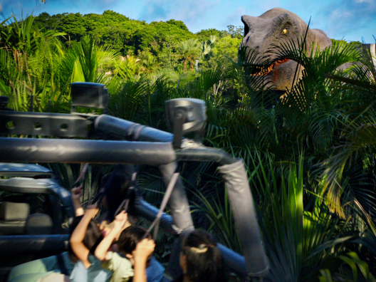 Dinosaur Safari