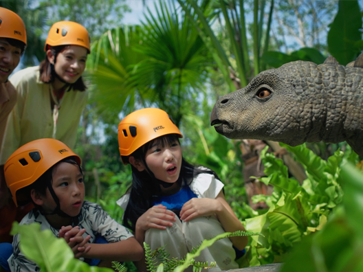 Finding Dinosaurs